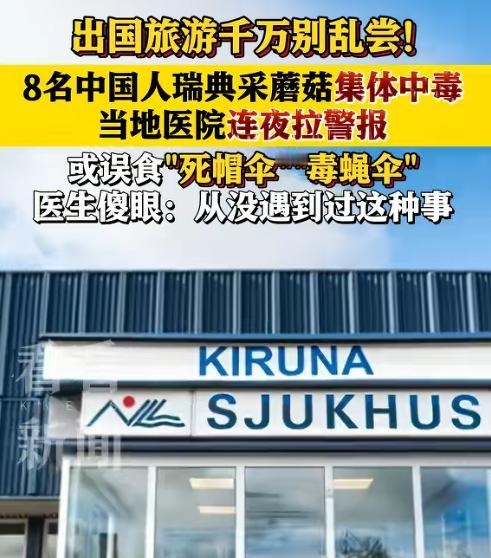 离大谱了！8个中国人自驾游到了瑞典，在森林里采摘蘑菇后当场就煮着吃了，结果集体中