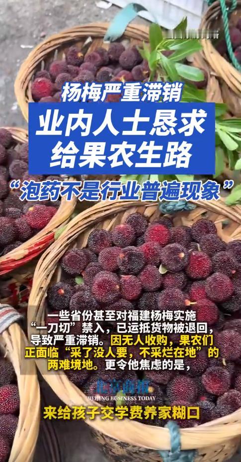 全网抵制漳州杨梅，我反倒觉得他们现在的杨梅是最安全的。为什么呢？因为经过这次