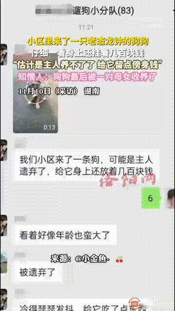 湖南一处小区内，突然来了一只老态龙钟的小狗，它的身上挂着自己的信息，以及几百块钱