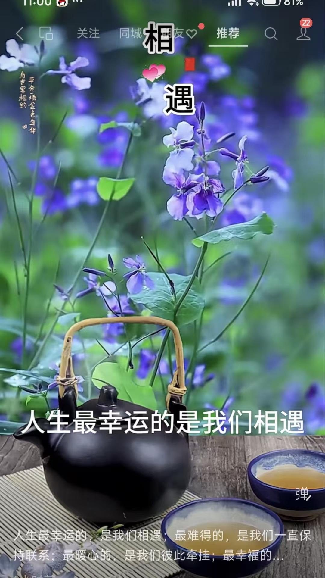 塞鸿秋·感遇人生幸得相逢遇，常相挂念情难去，暖心最是长相系，平安康健皆如