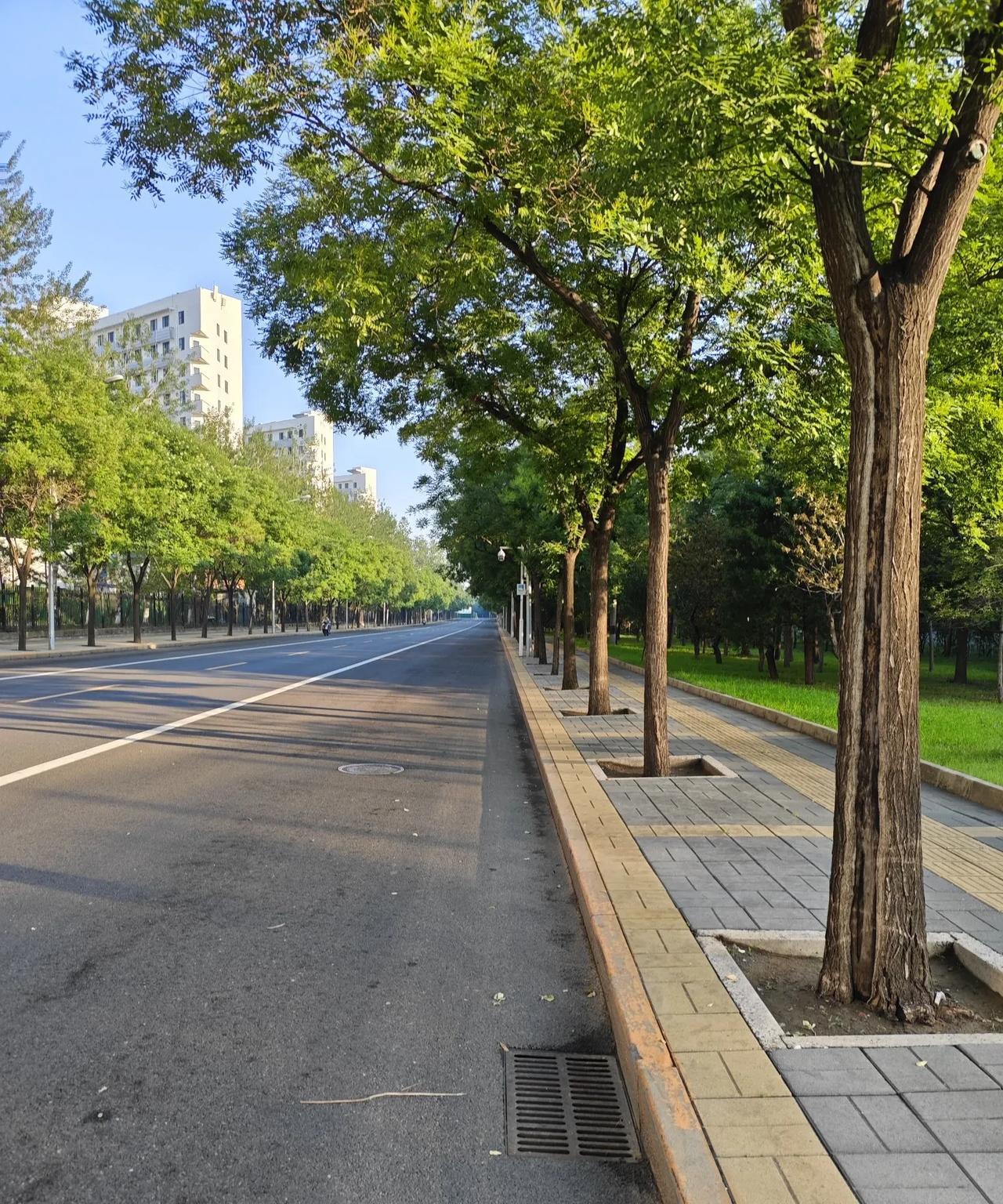 没有印度难道就不能发布联合声明了吗？不出意外，印度拒绝在上合组织防长峰会上的联