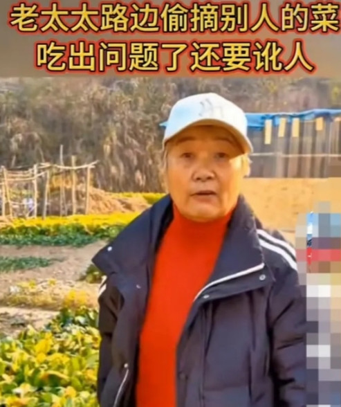 “太气人了！”老太太偷菜吃把小孙子吃病住院了。老太太找到菜主人说：识相点给我2万