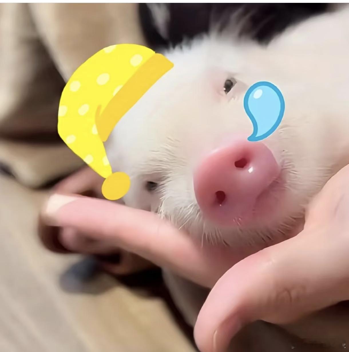 睡觉​​​