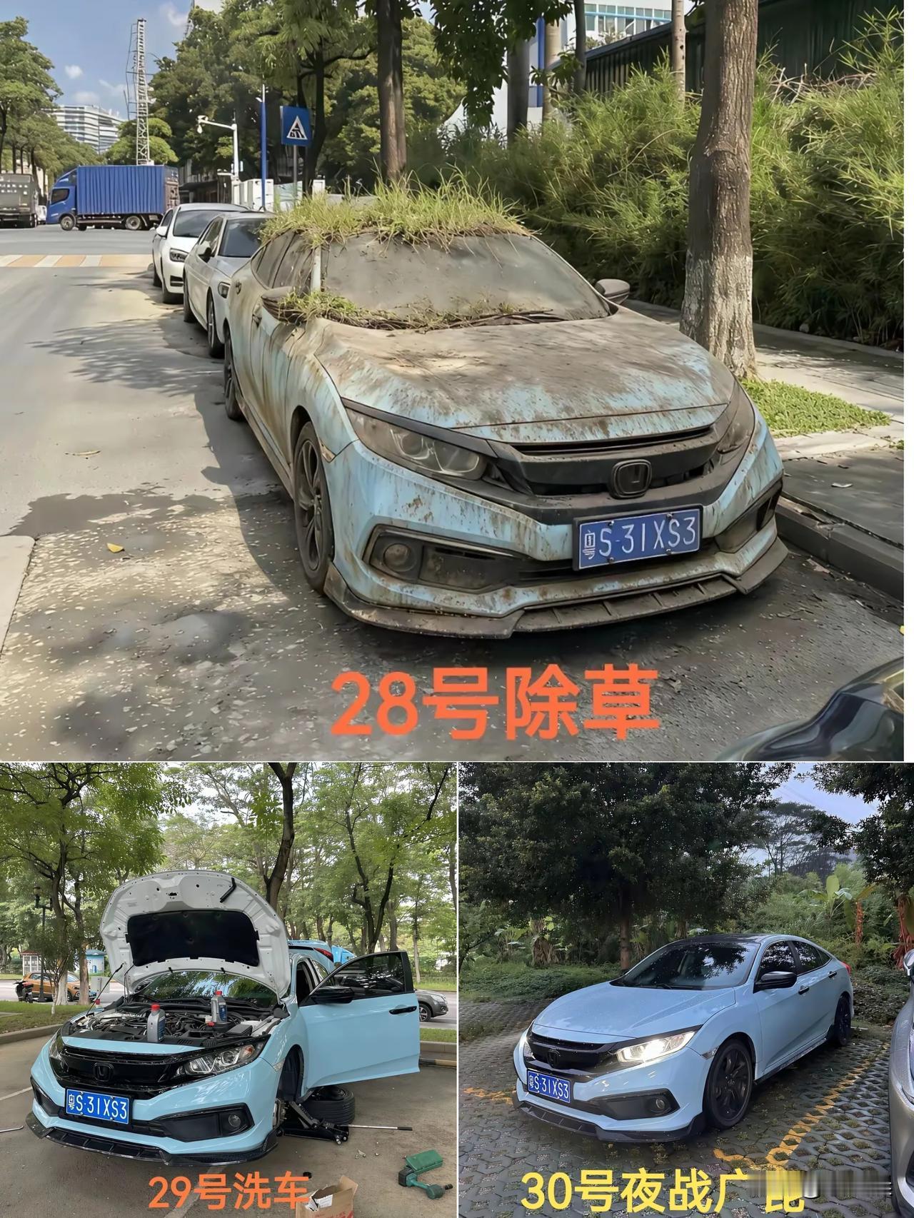 东莞有位大哥，春节后把车往路边一撂，省油费省了近八个月！车顶长草、车