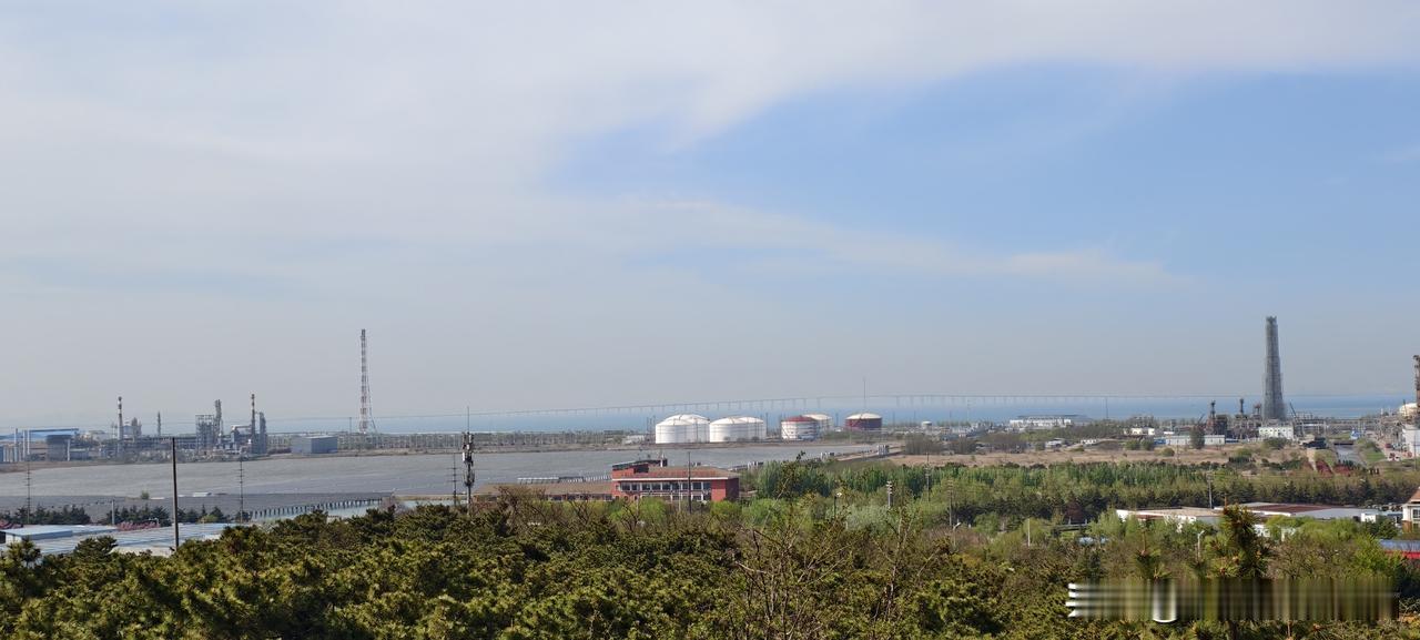 别背那4条“领导相处公式”了，你连领导是人是鬼都分不清今天后台收到一条私信，