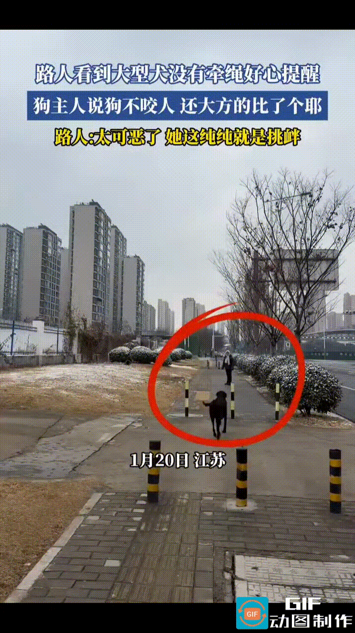 女子遛狗没有拴绳，网友好心提醒她，现在遛狗不拴绳，一旦咬到别人，狗主人会被拘留。