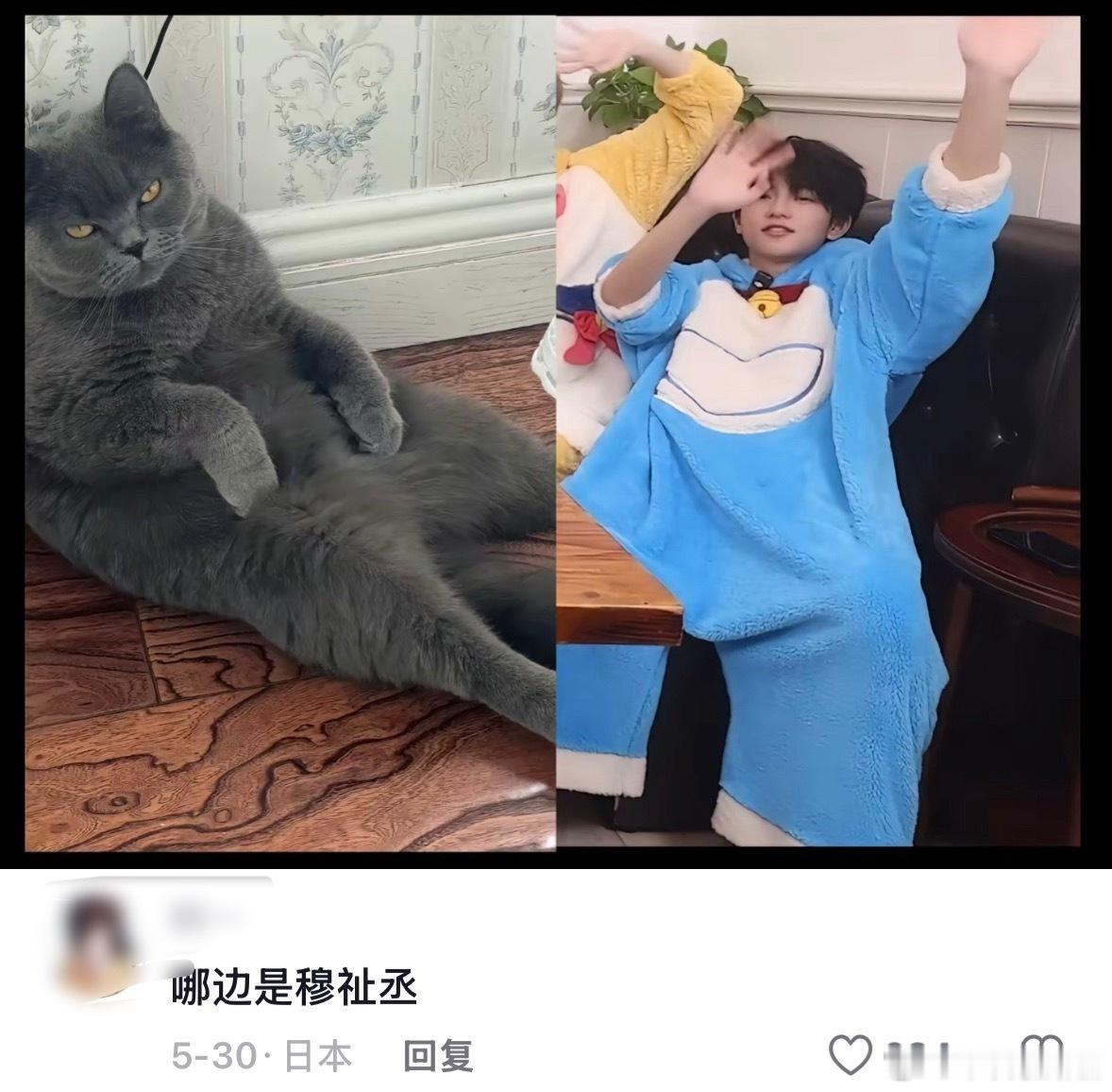 好吧好吧！！原视频：🫘听小猫说en