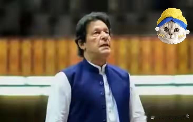 快讯！巴基斯坦突然宣布了巴基斯坦前总理伊姆兰·汗和妻子被判处十七年监禁，