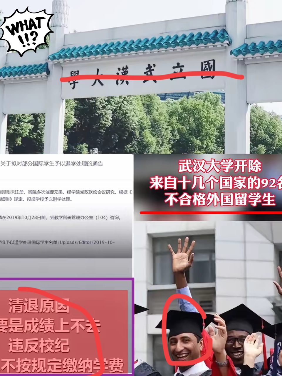 家人们！崇洋媚外那套真的要玩不转了！2025年5月，国内高校接连出手清退留学