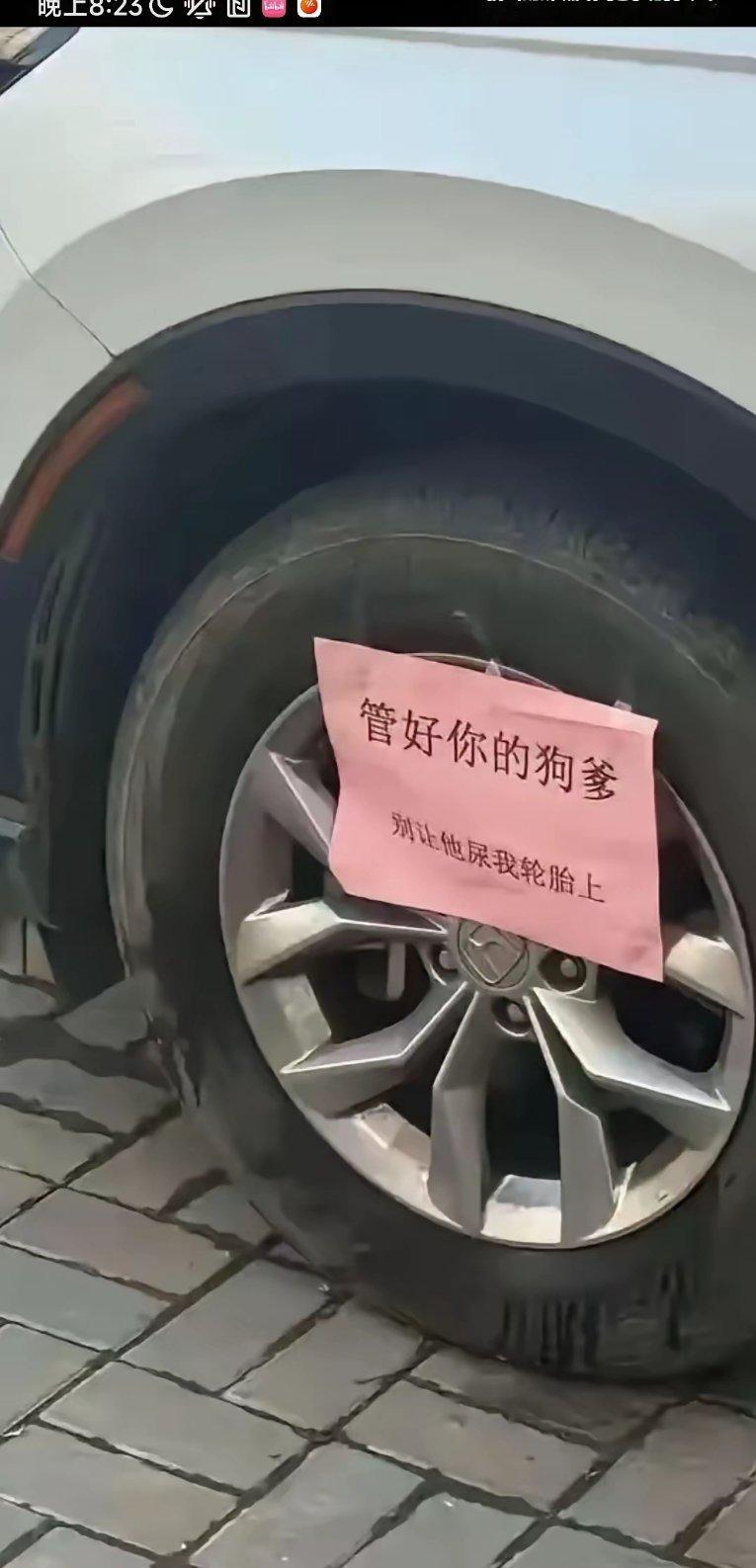 爱狗人士说，这太过份了！