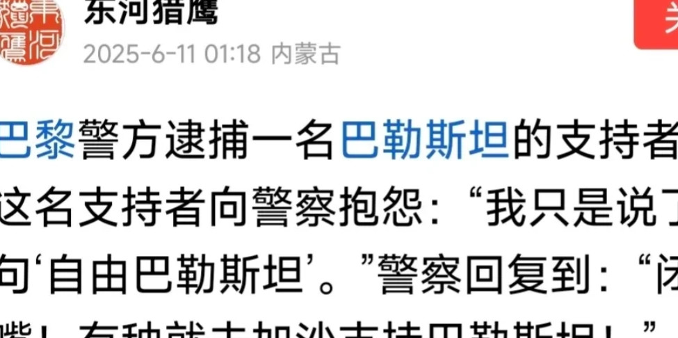怼的好，抓得对！巴黎警察逮捕一名哈马斯支持者，他向警察抗议:我只喊一句“自由巴勒