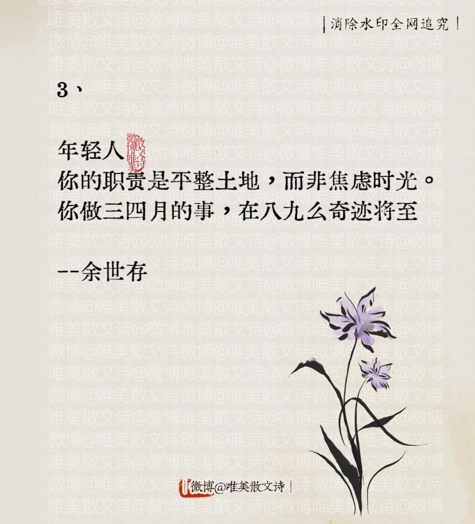 “那些你一辈子写不出来的句子。”