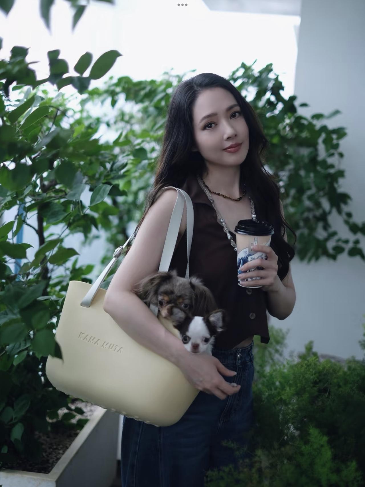 郭碧婷晒与狗狗合照，照片中的狗狗都很开心，每一只长得都差不多。郭碧婷结婚以后