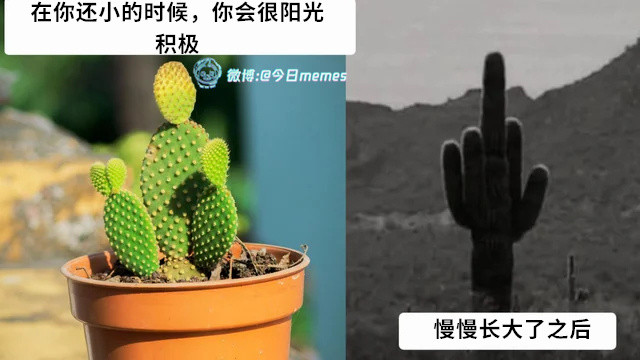算（9gag）哎呀​​​