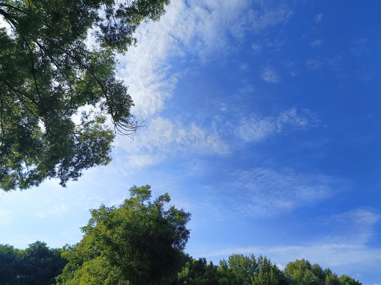 我是一名肺腺癌晚期病人，今天出门去便利店买洗衣液，无意间听见店里两个中年妇女闲谈