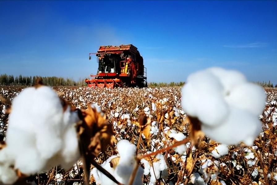 西方把大美新疆抹黑成“人间炼狱”，这简直是对人类智商的挑战，是对人类基本文明的挑
