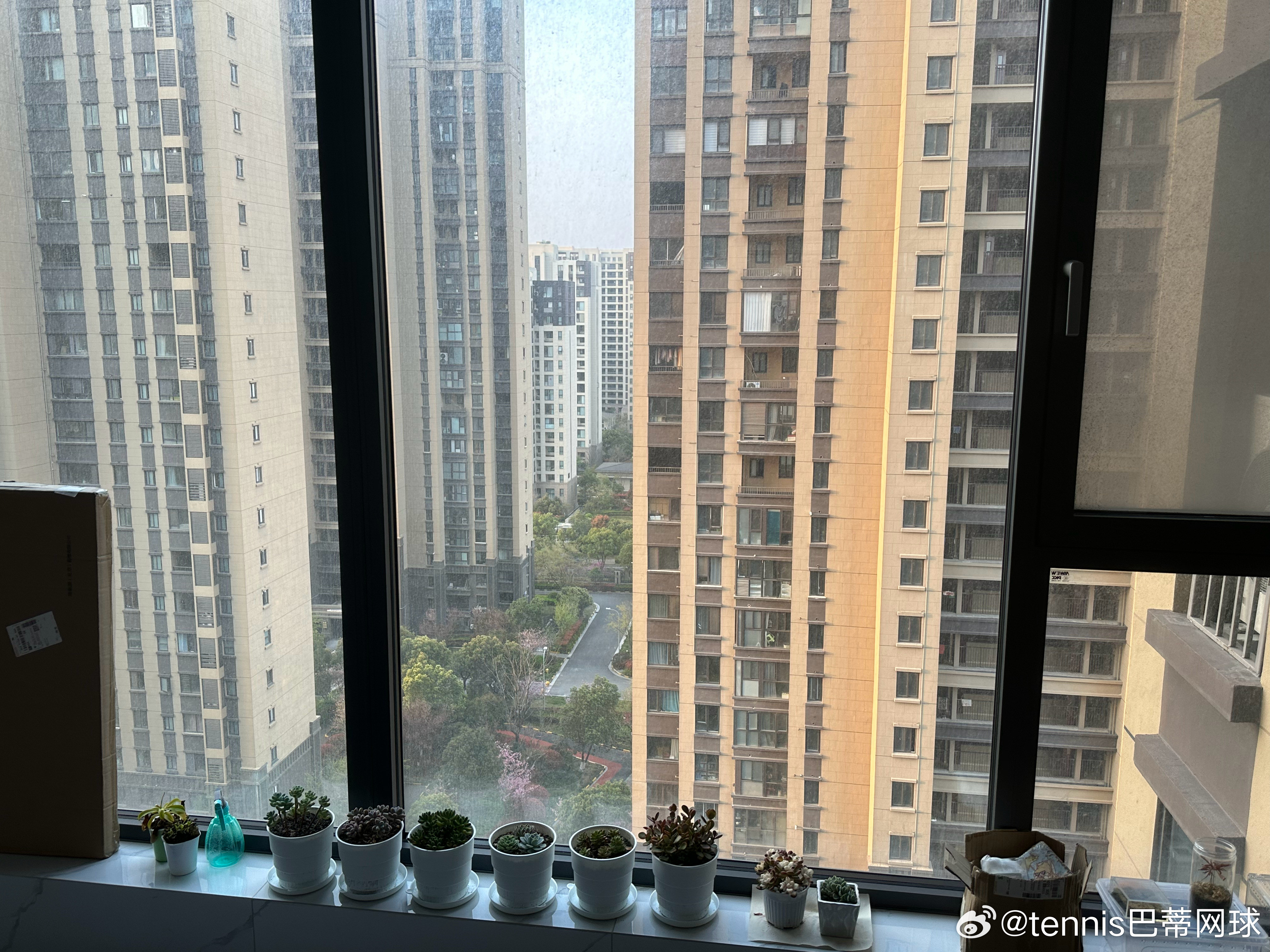 天黑看到天亮半夜还是起来看了这场对决，这场其实高芙发挥的很好了，发球并没有给她多