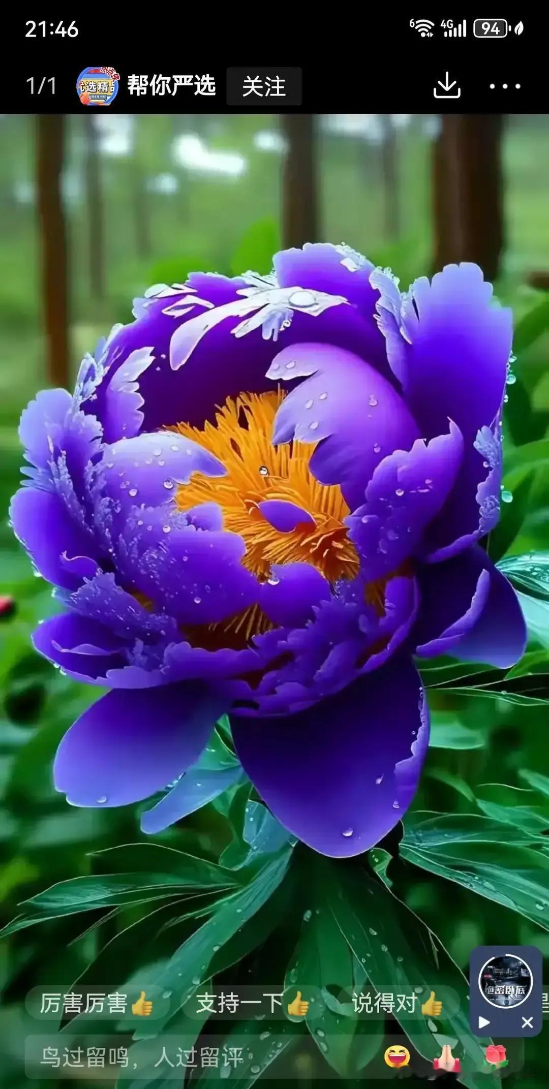 儿子刚离完婚，朋友就塞来一个带娃的二婚姐姐，他回家一说，全家脑袋嗡的一声，画面瞬