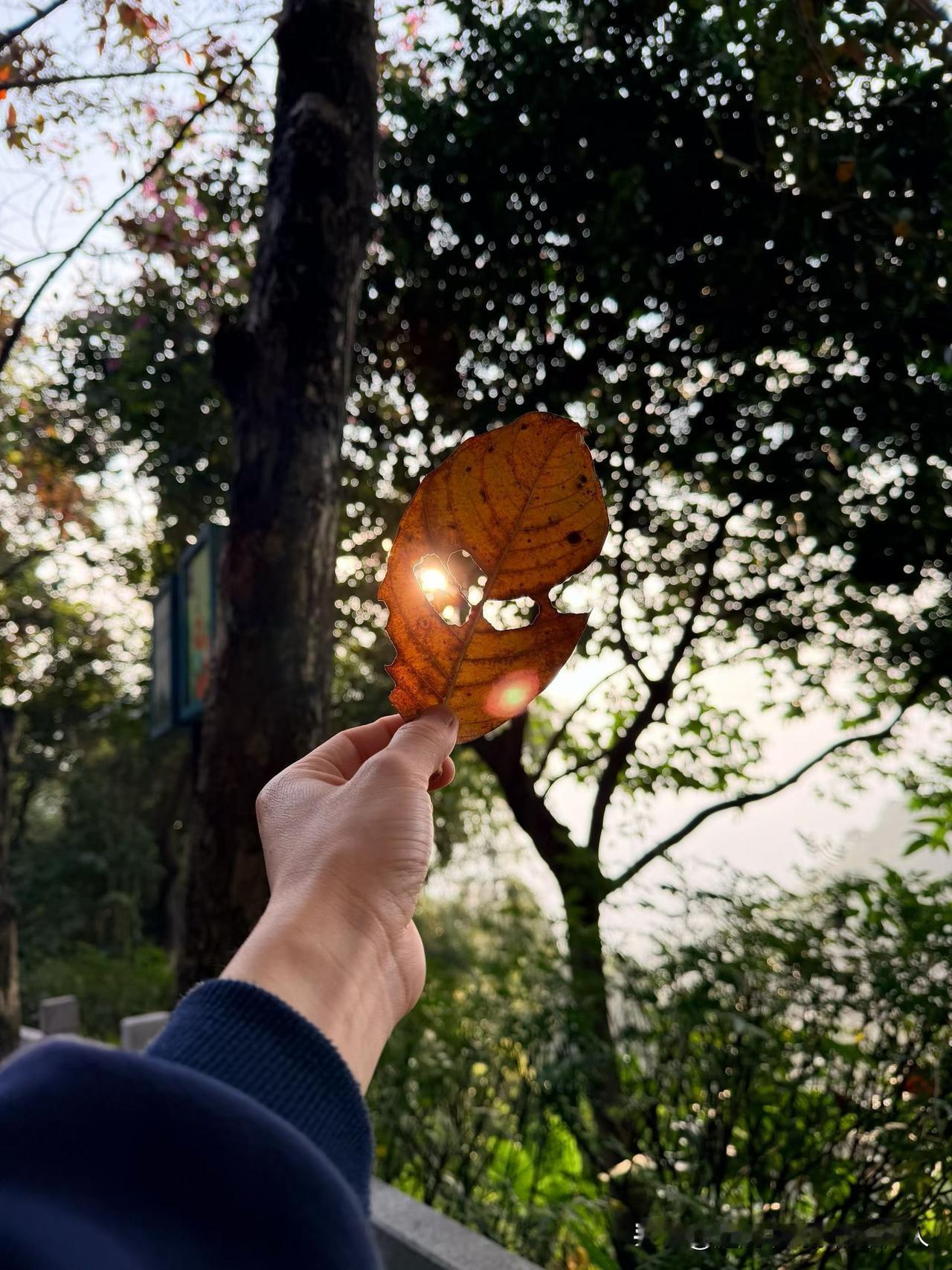 我有个奇怪邻居许姐，今年65岁了，每天只有买菜的时候才出门，菜买回来门一关，一天