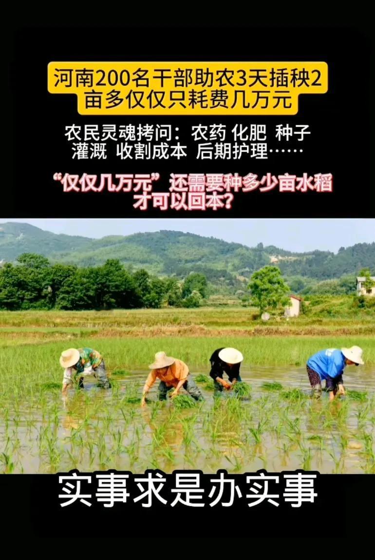 河南200名干部助农3天插秧2亩多，耗费49万元辟谣说假的，说仅仅只耗费了几万元