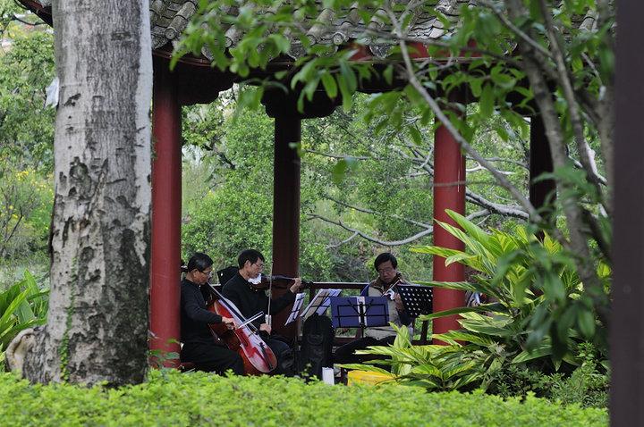 有钱的单身老头，找个陪聊陪睡的保姆真的一抓一大把？我身边就有个例子说句扎心