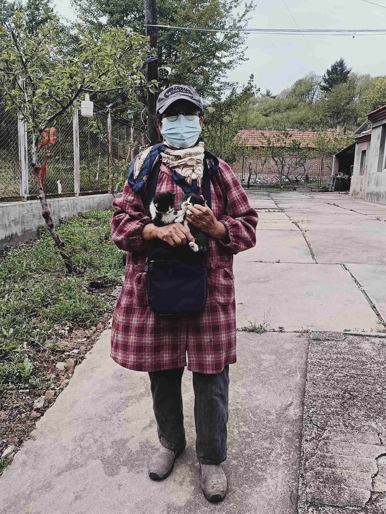 我的今日状态：😁轻松愉快我这里的天气：☀️晴天八十岁的老妈就喜欢养猫，家里