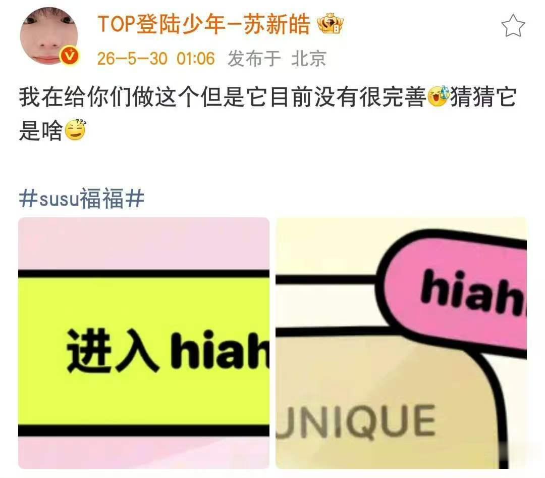 苏新皓猜猜它是啥苏新皓准备的hiahia超级好的苏新皓！