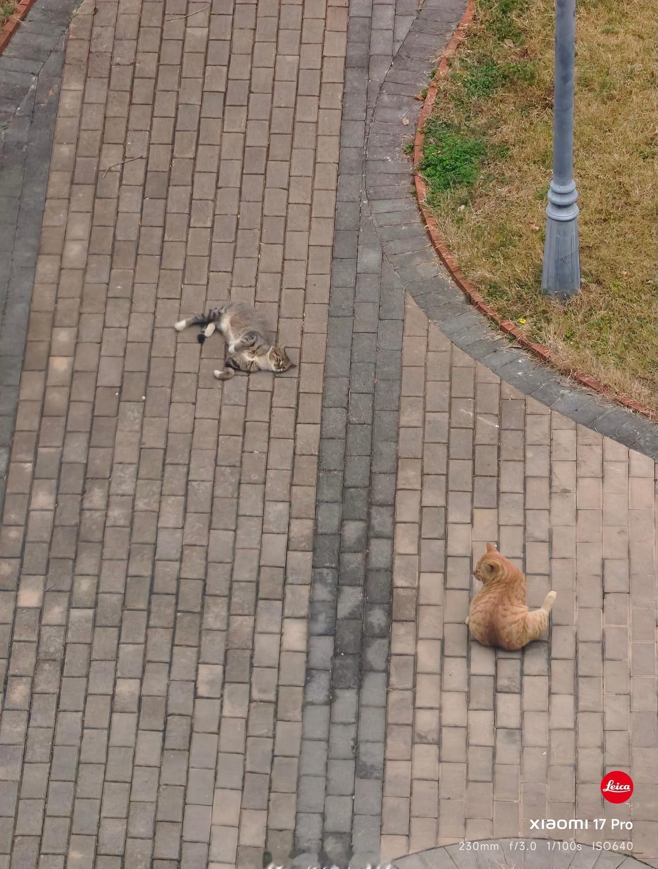 昨天女主还跟我讲她的故事，说是请了什么高人，我没听进去…大概知道是牛女士利用