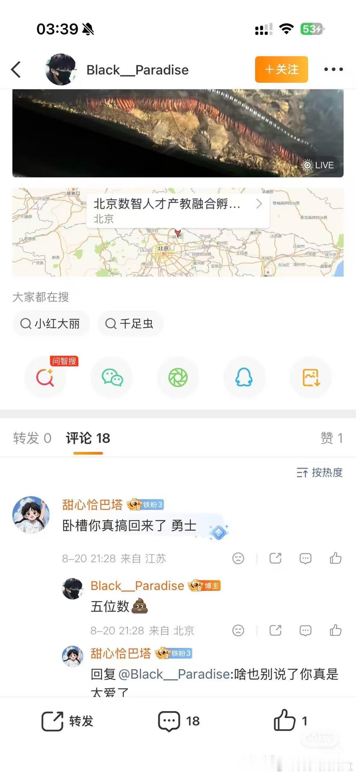 突围养的小狗突突被gzry卖了六位数