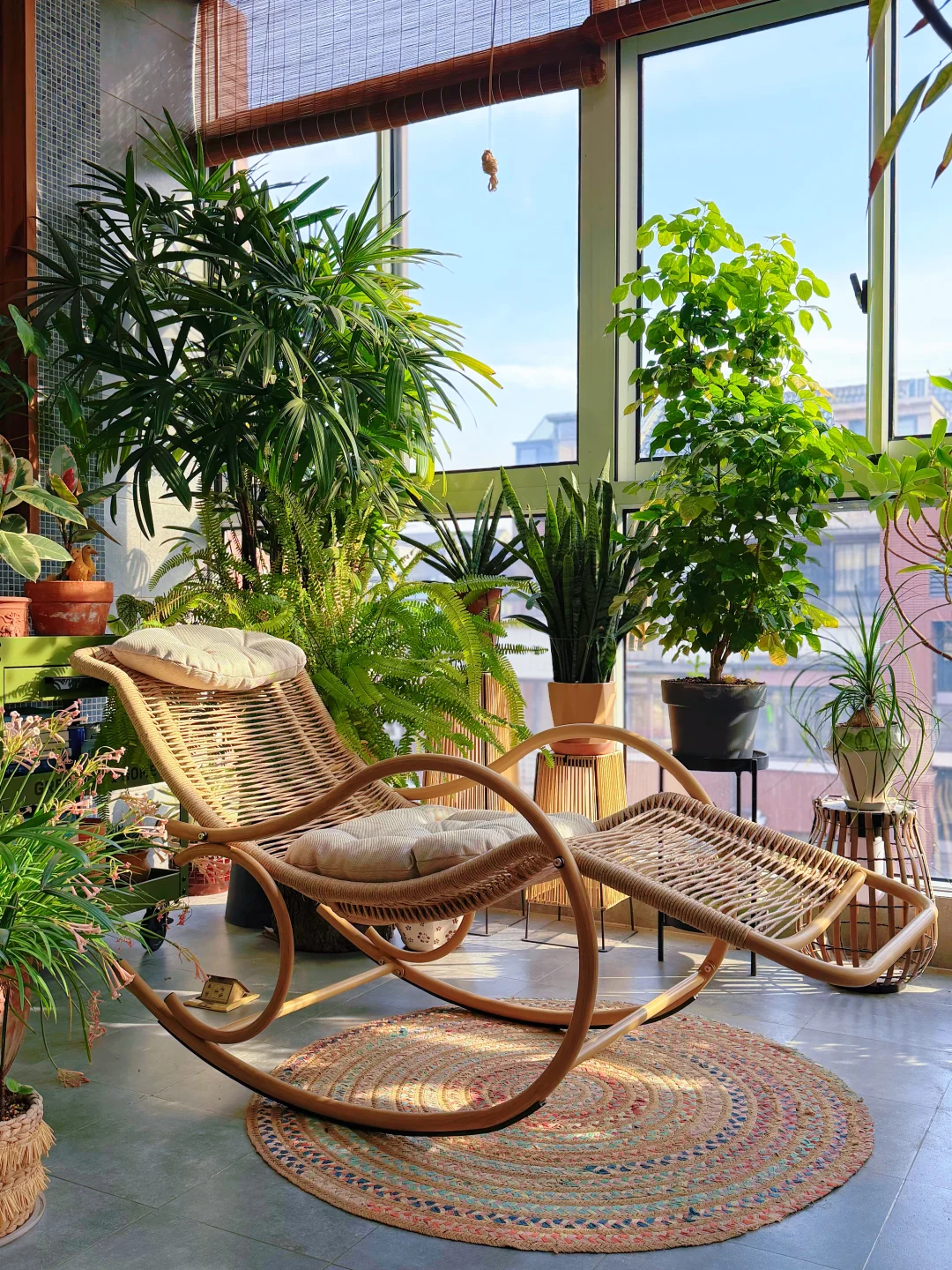 普通人家的阳台小森林也可以如诗如画