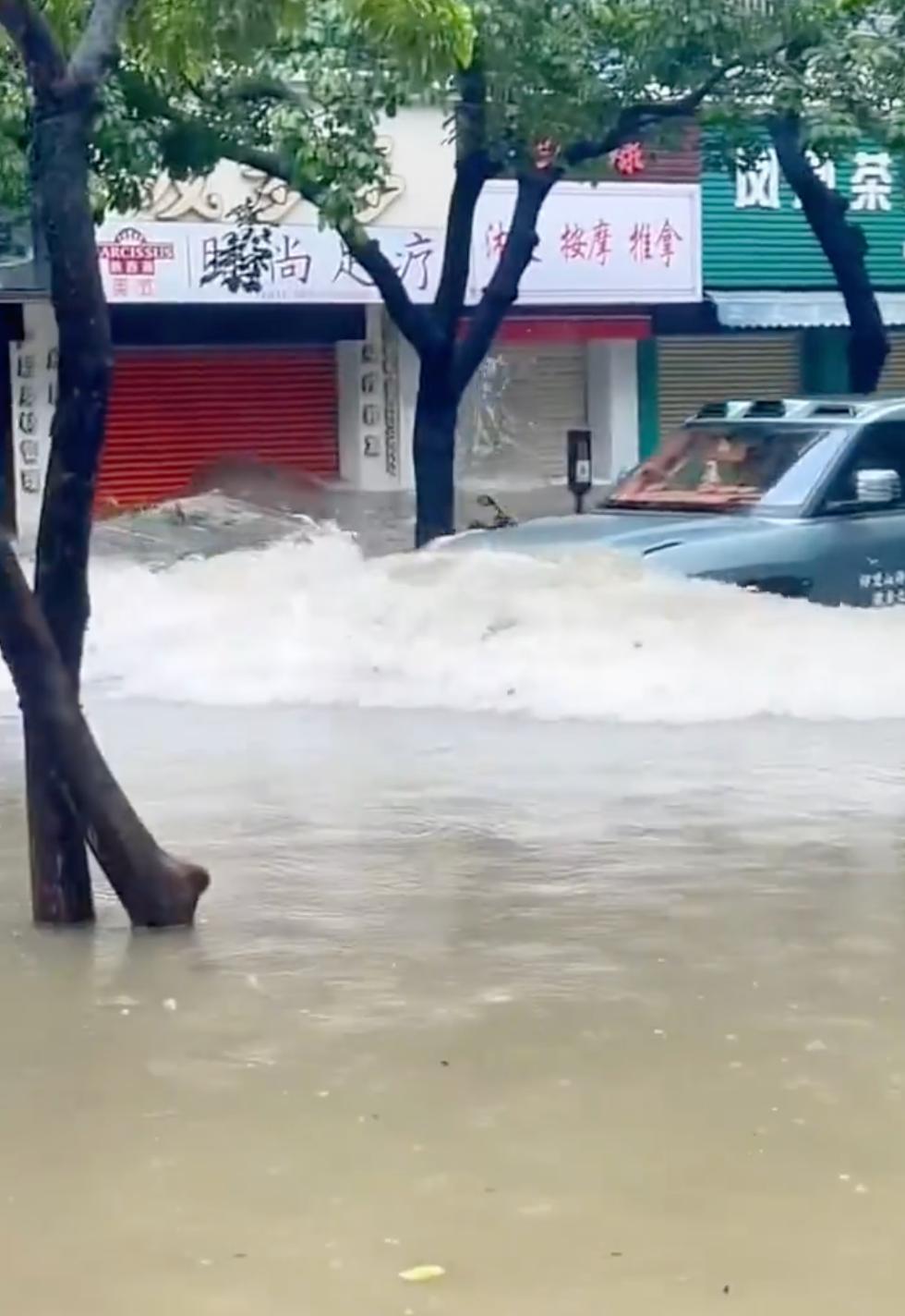 这下浪不起来了[捂脸哭]