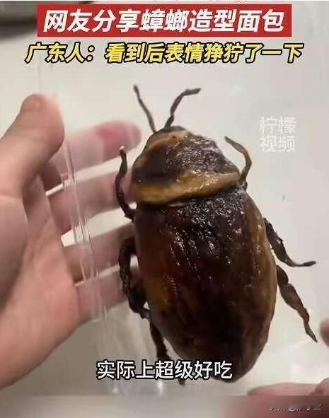 蟑螂造型面包，广东人看了都头皮发麻，表情狰狞的面包！一广东人在一面包店看到一款