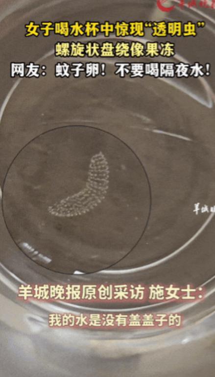 别再乱喝床头敞口的隔夜水了！云南大理一位女士，就因为一杯没盖盖子的凉白开，经历了