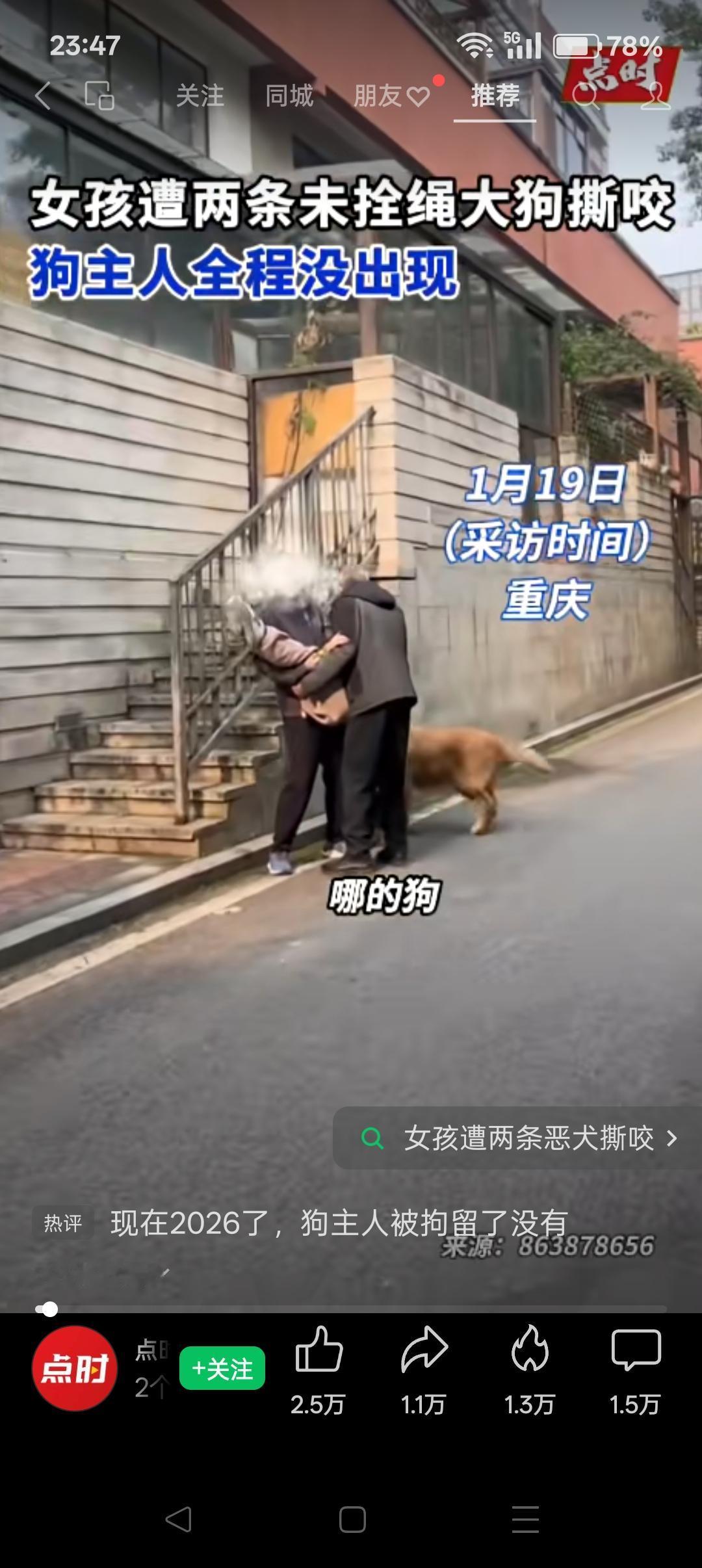 希望国家出台《城区宠物管理法》！2026年1月19日报道，重庆某街巷发生一