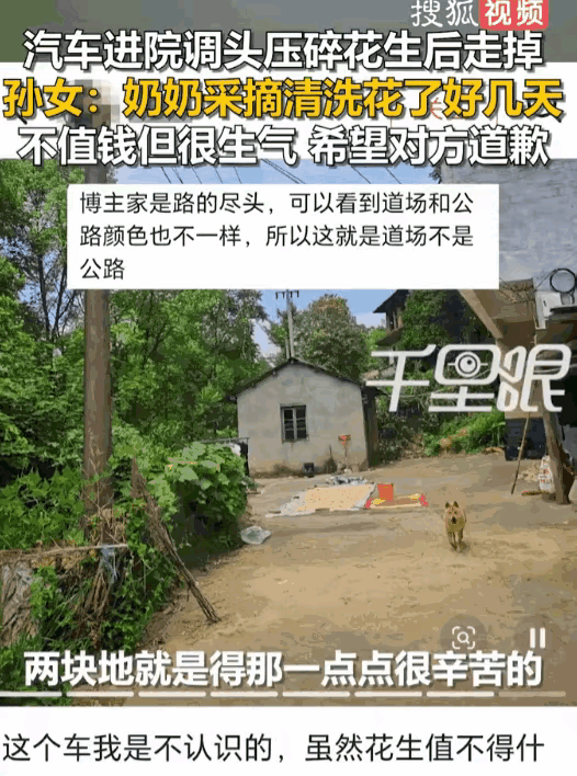 桂林私家车碾碎老人花生绝尘而去！女子一番话，让全网怒了又泪目！“噼里啪啦……