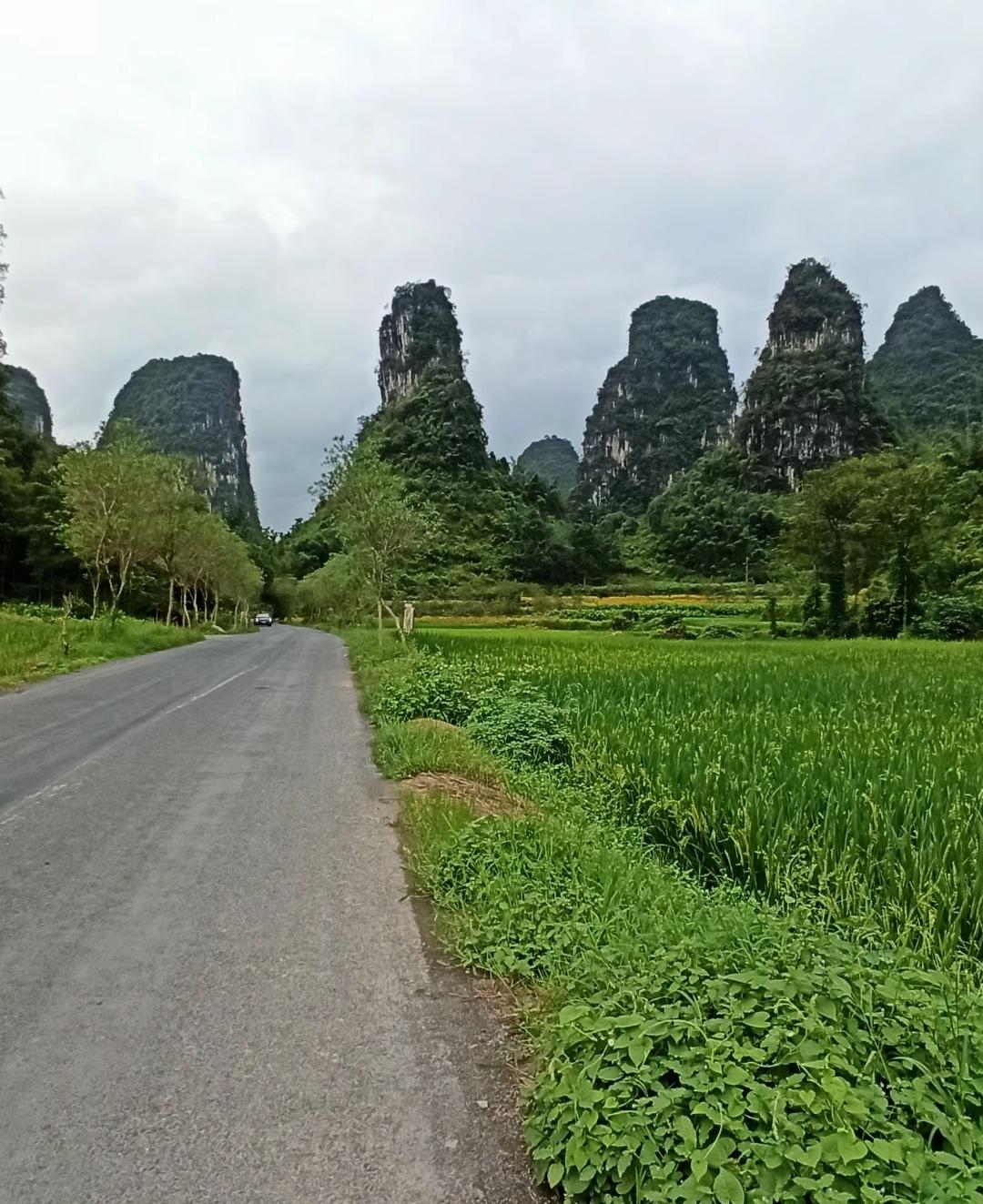 自学中医的你，都想考证，凭自己有两把刷子，一展身手，对吧！理想丰满