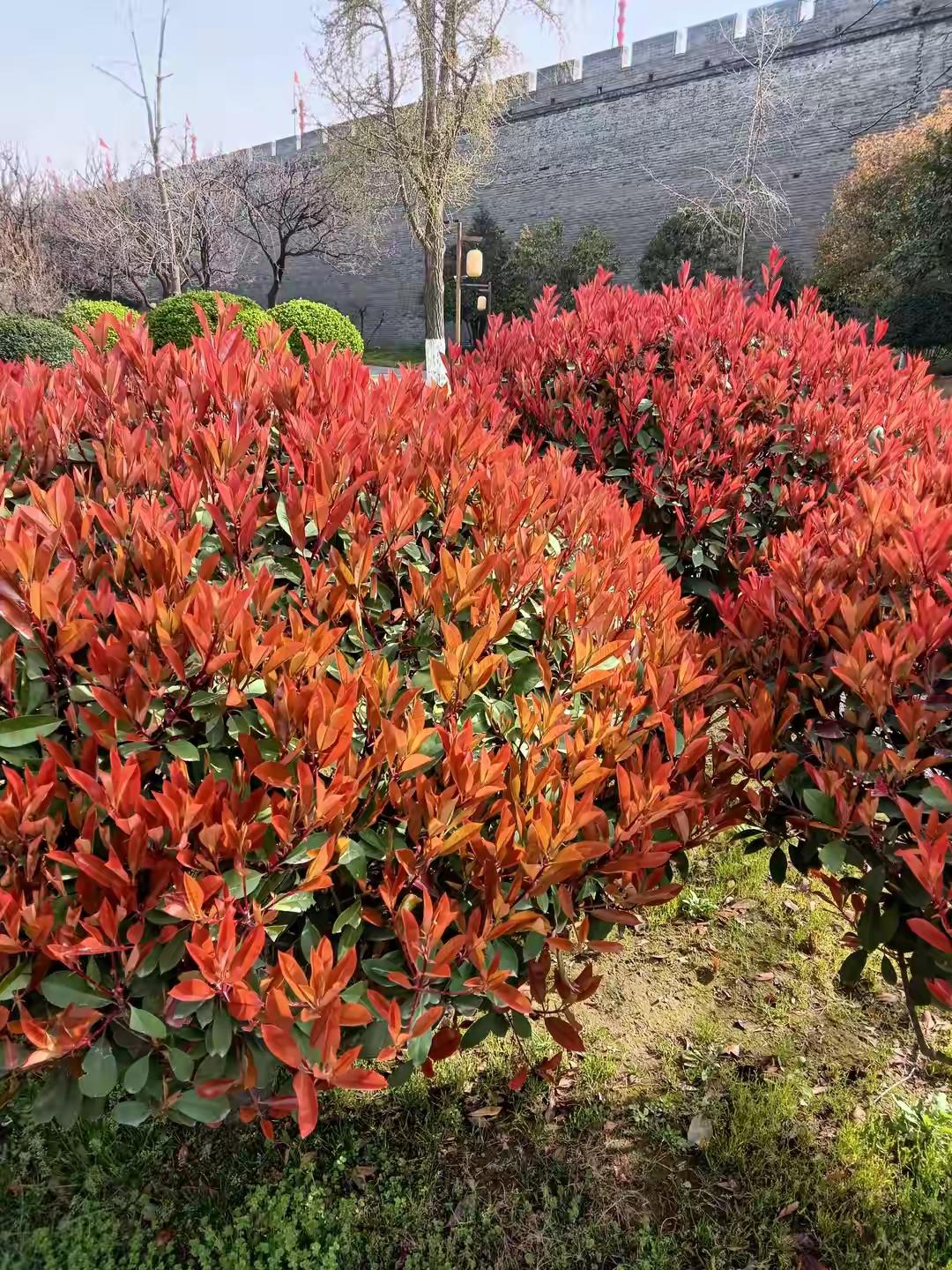 但实际上，最大的敌人往往不是别人，而是我们自己内心那颗不安分、不自律的心。人