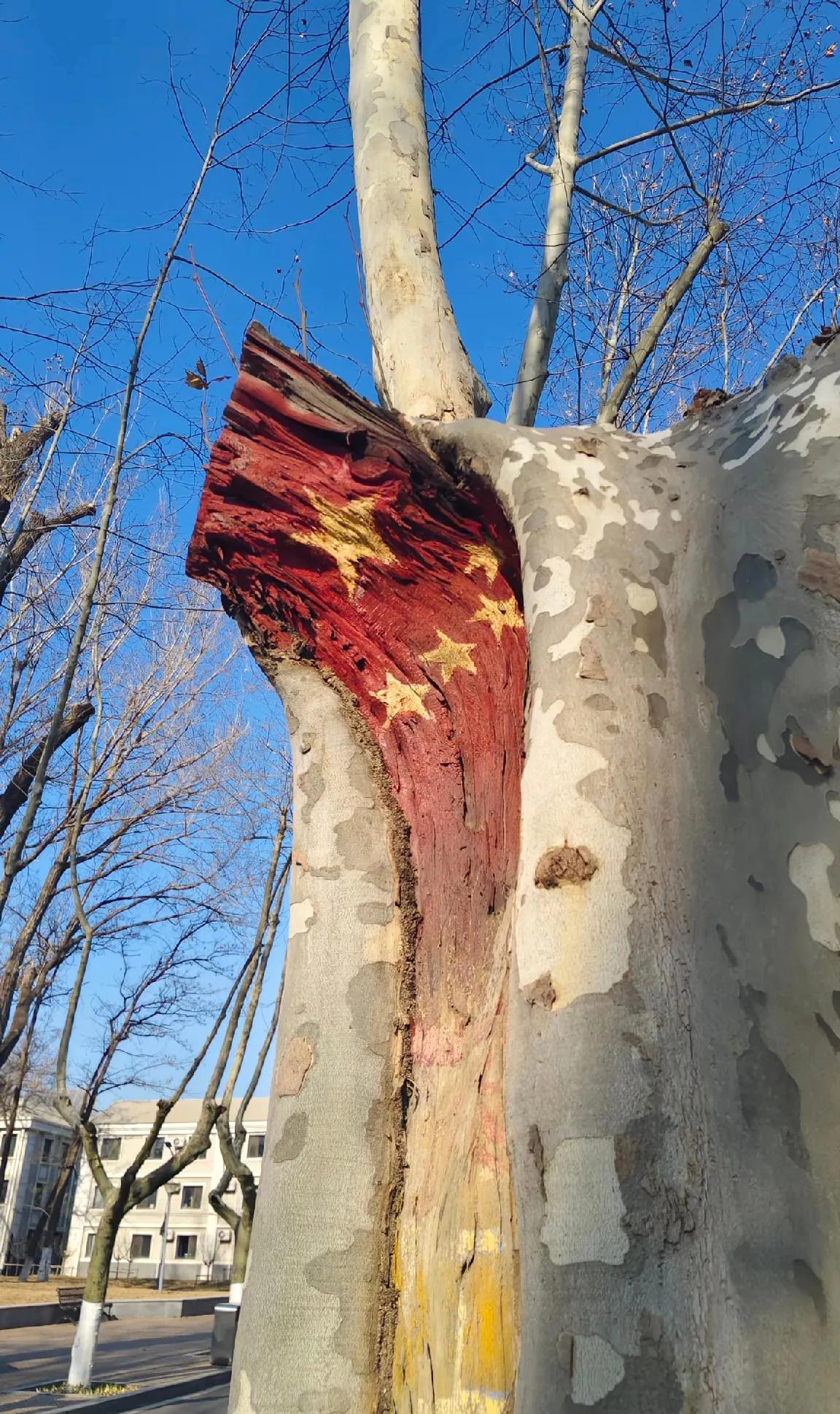 早上走在马路上，不经意抬头一看，见树干被粉刷成了国旗颜色，瞬间心头一热！树干的