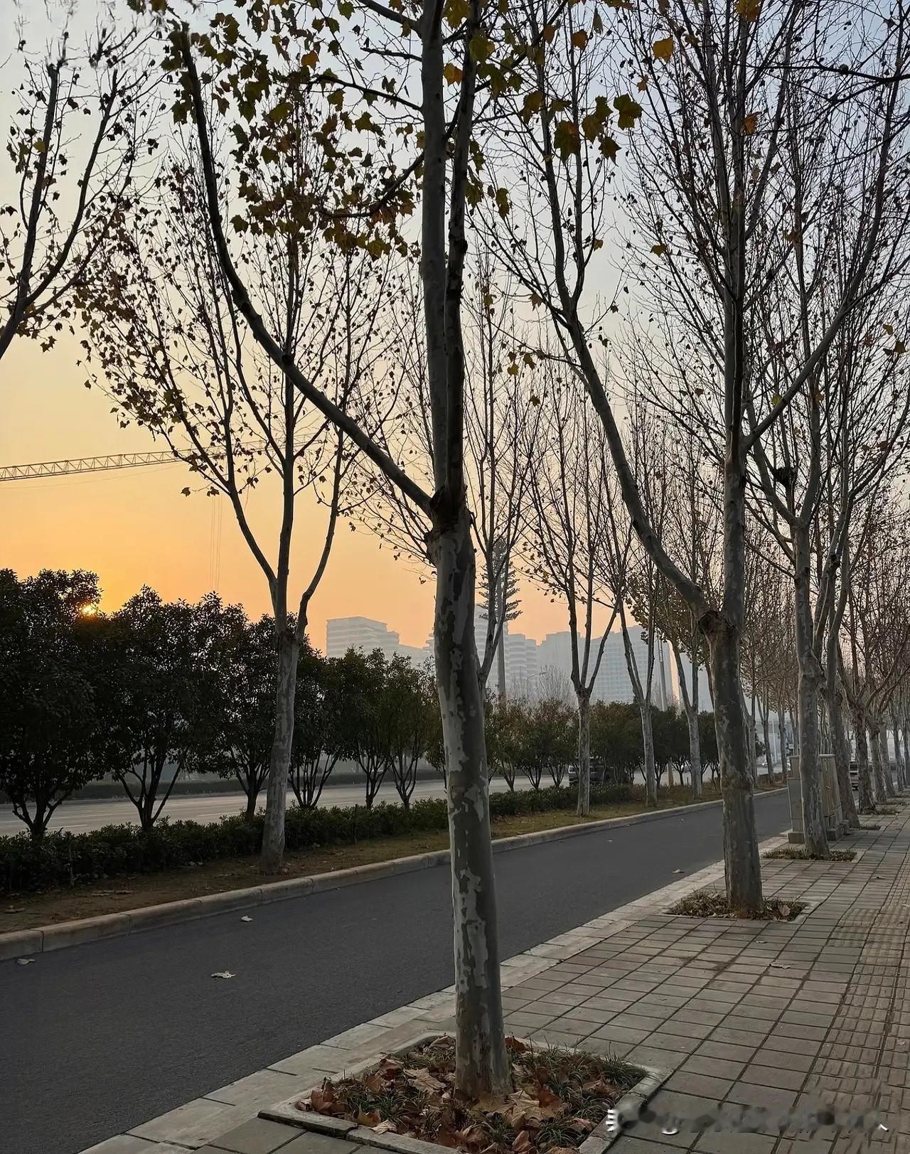 给大家提个醒！从现在到1月17号，我们正处于三九天和四九天，这可是一年之中最冷的