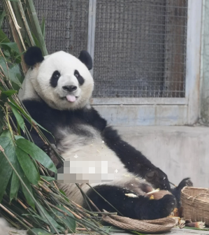 来啦？来自假笑男孩的问候