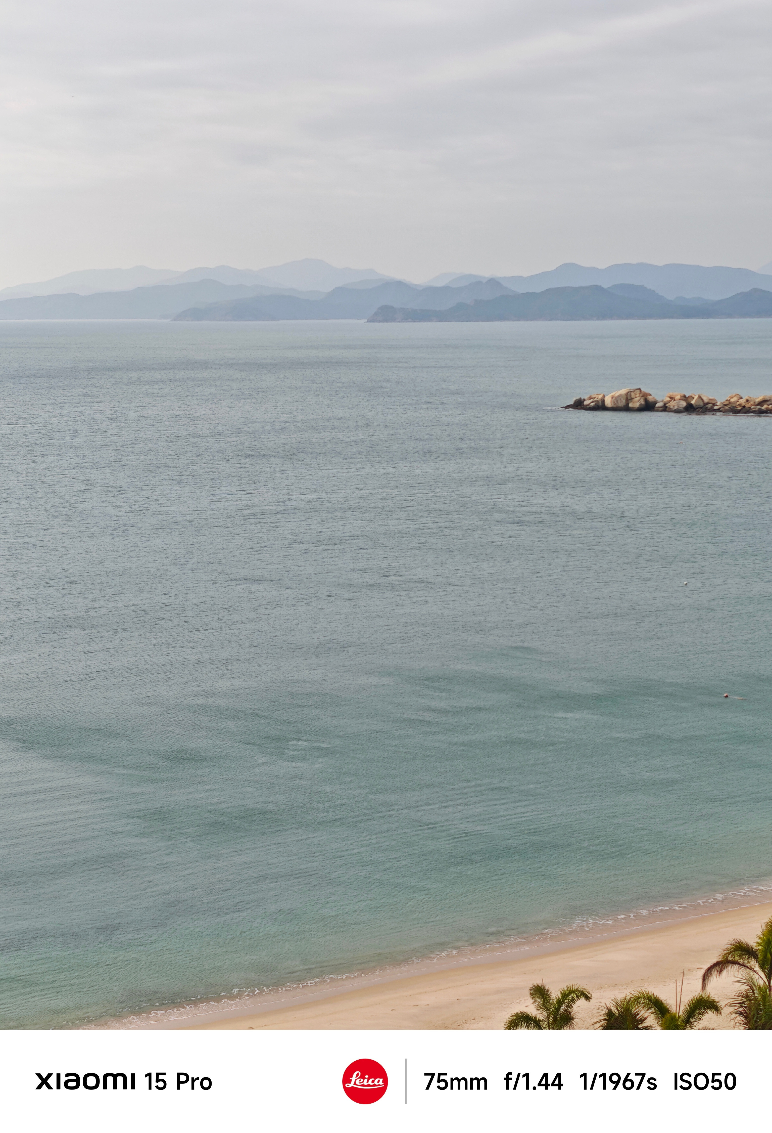 法拉利来中国也得进货我建议再去逛一下小米之家！肯定也空手出不来