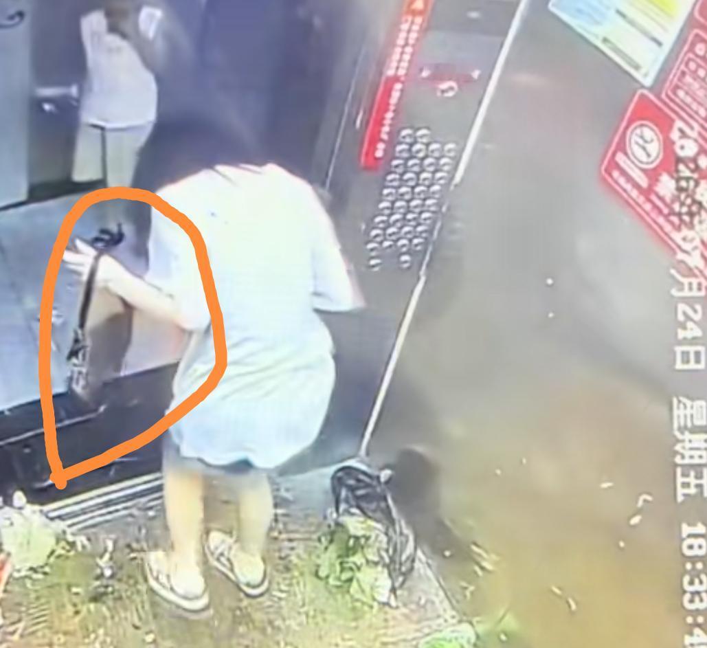 湖北仙桃电梯冲突原来男孩妈妈被扒出是女网红不是根据她的相貌，而是一个包包