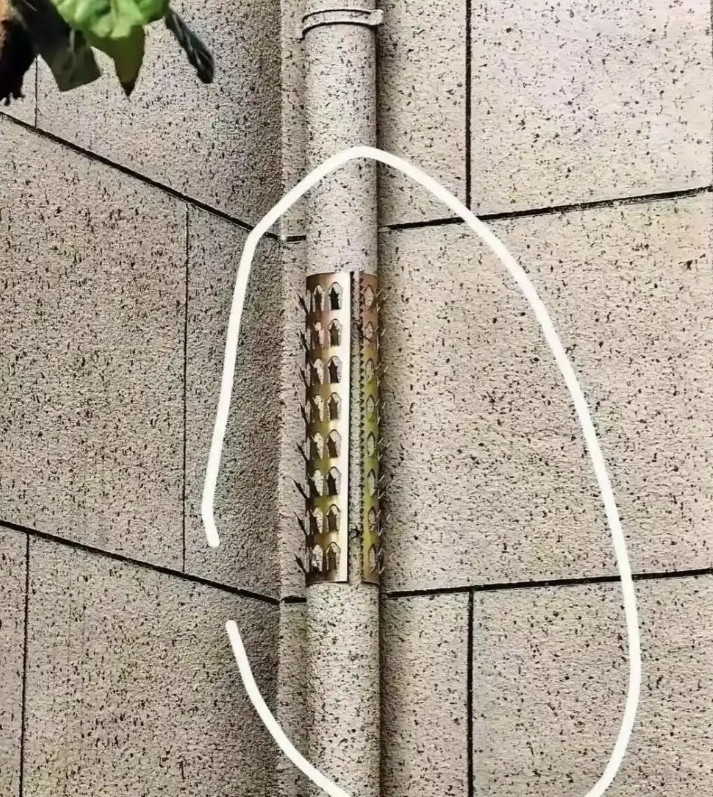 邻居家的墙上装的，这个起什么作用？