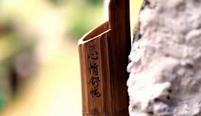 常听人说，病由心生。很多身体的不适、心里的郁结，其实都和情绪有关。真正能治愈一切