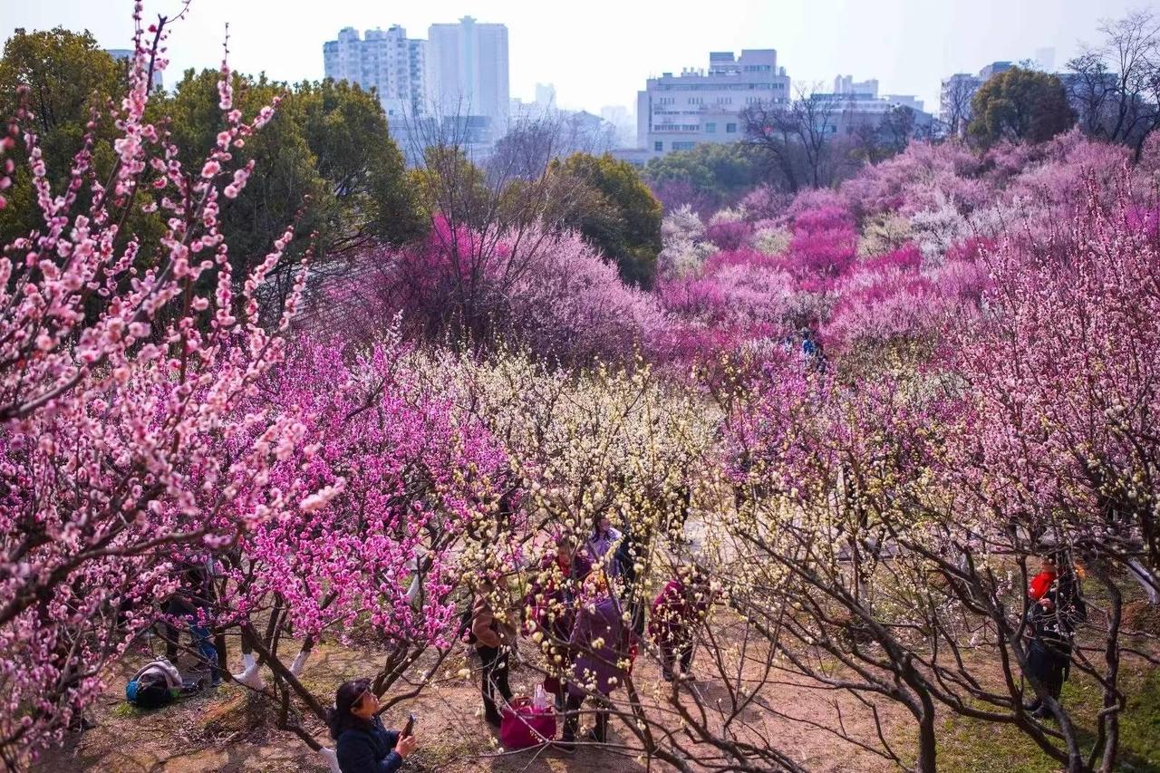 分享一些适合中老年人的养生运动给中老年人整理的8种养生运动，温