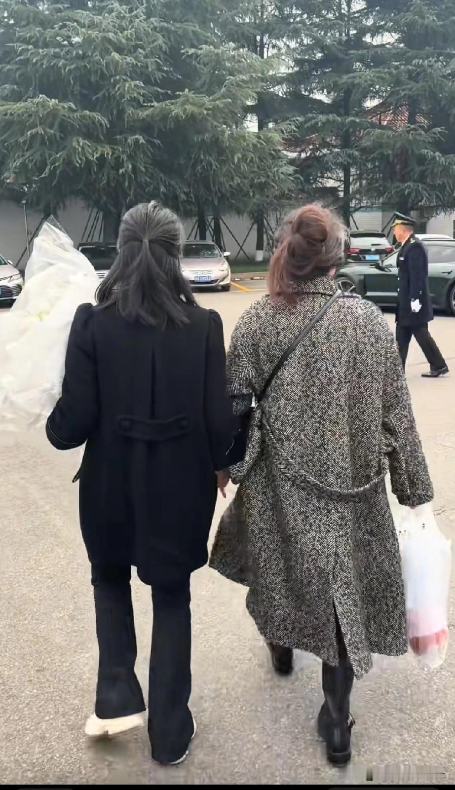 看到这张照片好想哭。这是优优妈妈和紫雅妈妈的背影。这两个妈妈有很多共同点，同样失