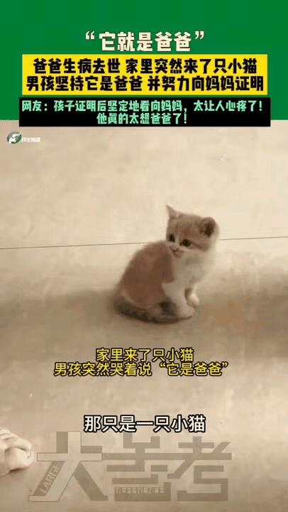 爸爸因病去世，男孩无时无刻不在思念着爸爸，头七那天男孩又哭着睡着了，在梦中他梦到