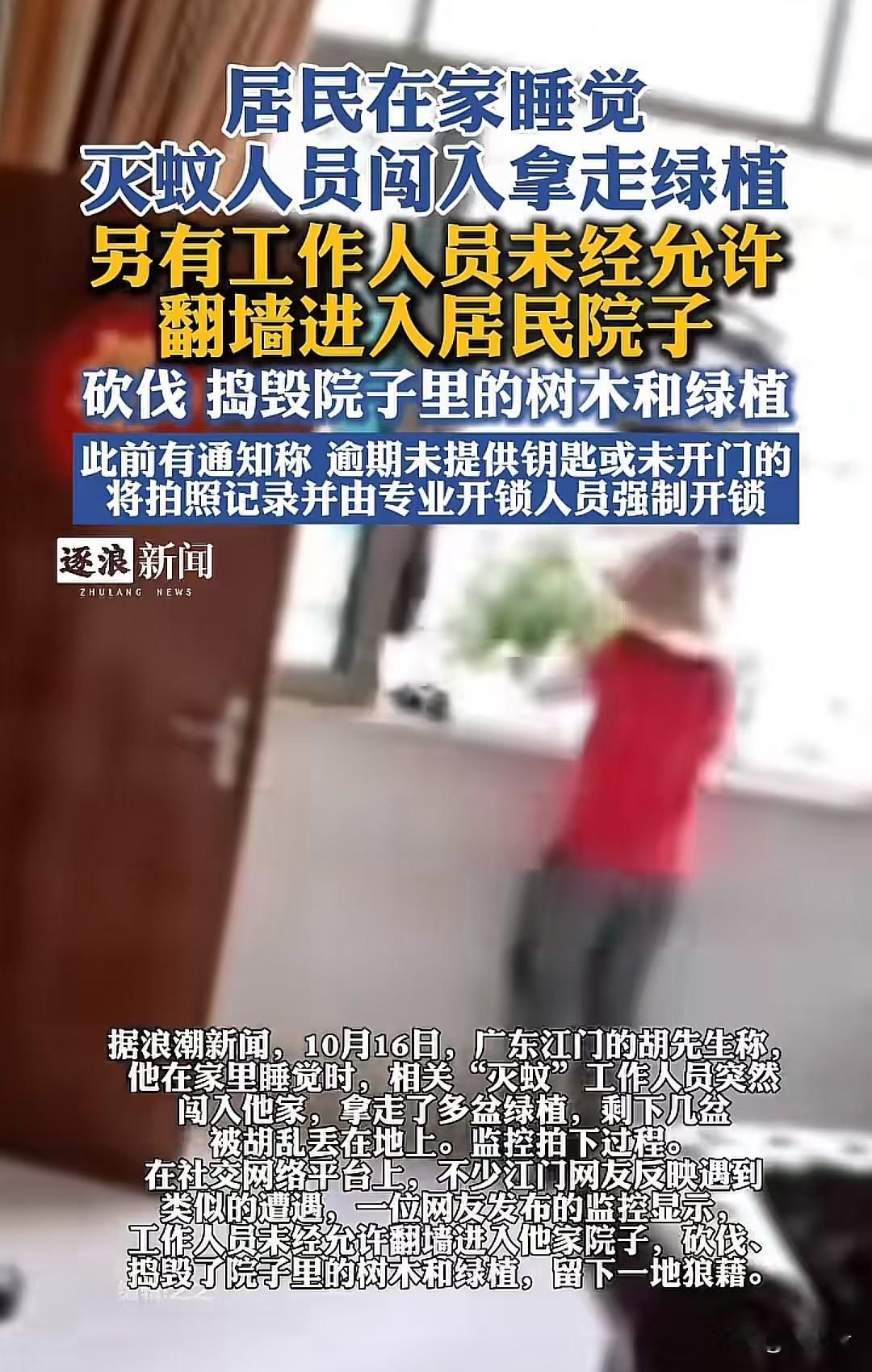 广东江门这灭蚊行动整得太离谱了！出现基孔肯雅热病毒，社区开展灭蚊活动本是好事，