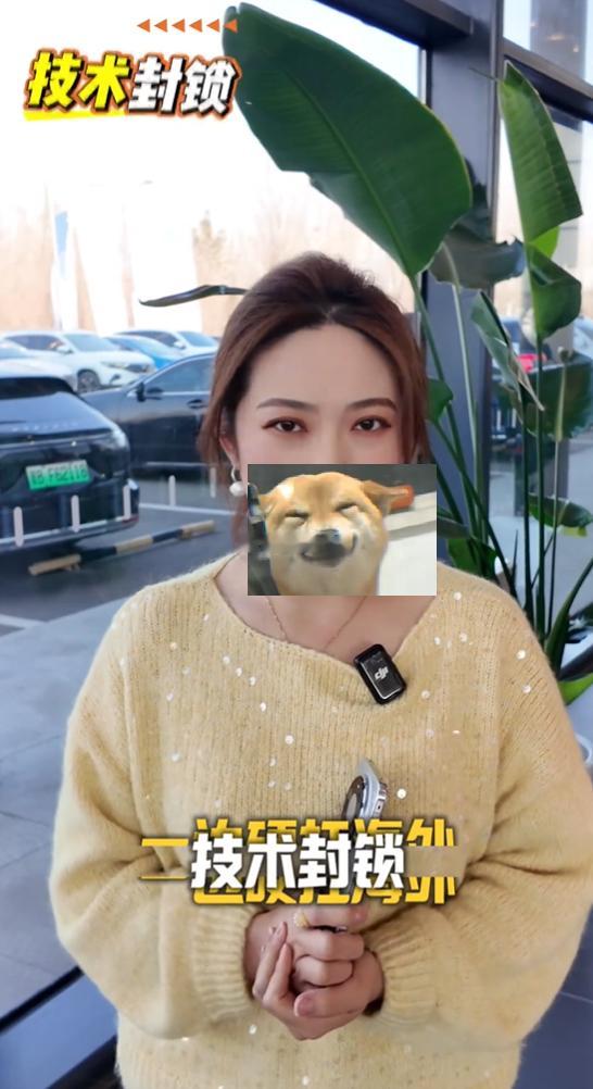 又给华为造谣，经典老谣已经有五六年了吧华为2025年纳税903亿，小米没有纳税每