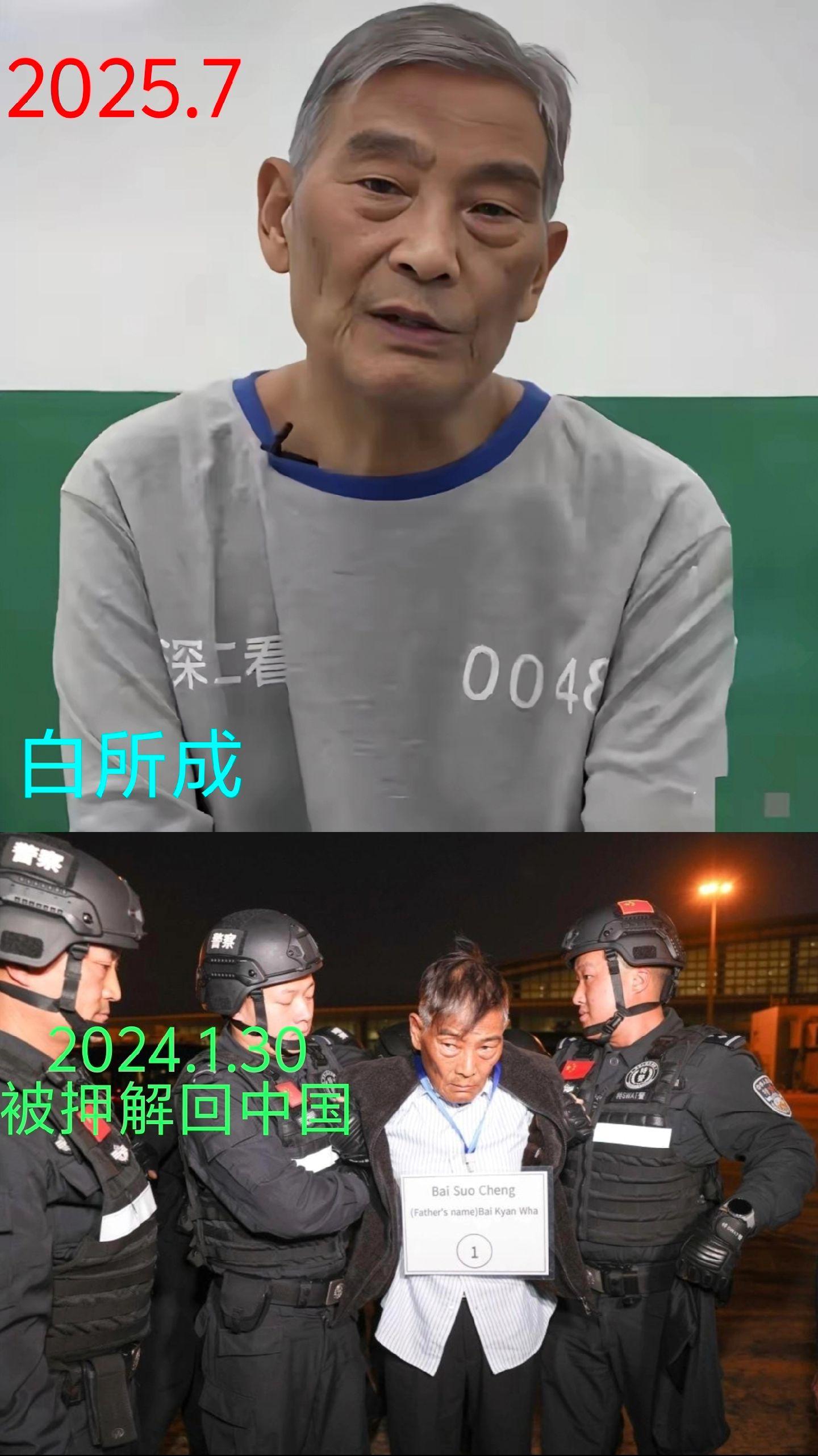 白所成父子相比之前胖了不少，他们罪恶滔天杀人如麻。曾经在果敢只手遮天...